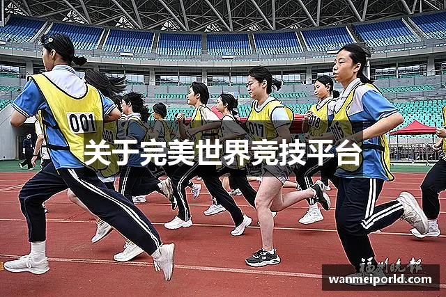 关于完美世界竞技平台
